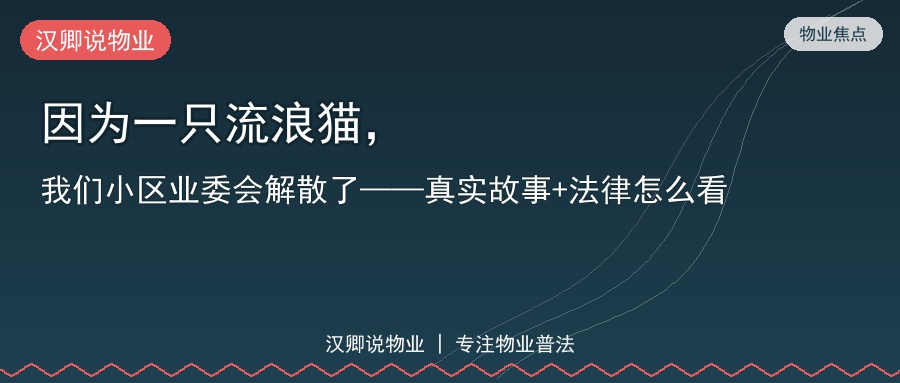 因为一只流浪猫，我们小区业委会解散了——真实故事+法律怎么看